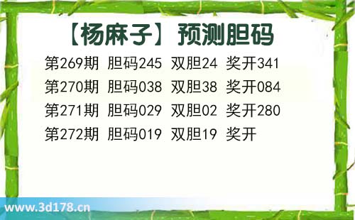 杨麻子胆码图3d第2026272期推荐：双胆看19