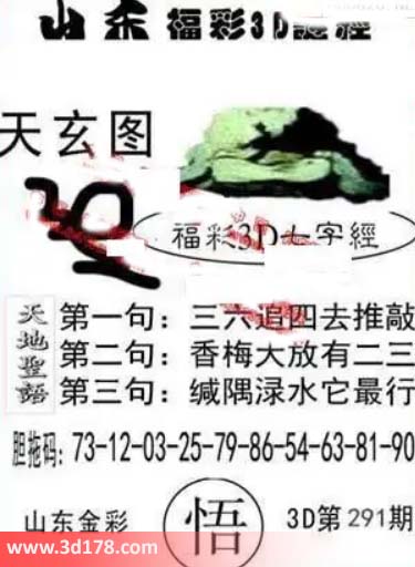3d第2026291期丹东天玄图第一句:三六追四去推敲